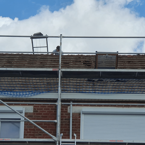 Untitled design (18)