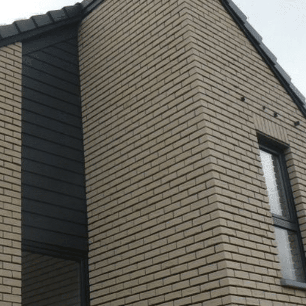 Untitled design (19)