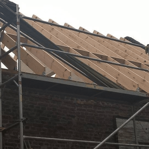 Untitled design (20)